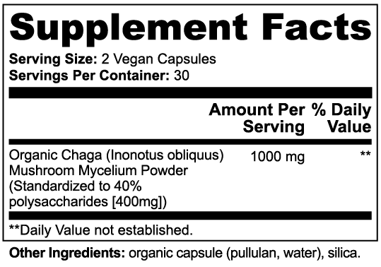 Antioxidant Chaga Supplement – Daily Wellness Support