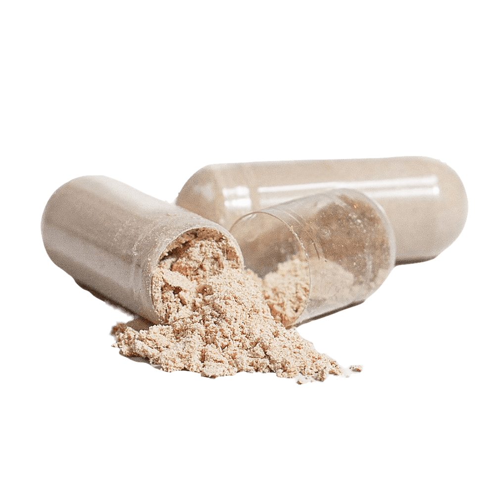 Chaga Mushroom Capsules