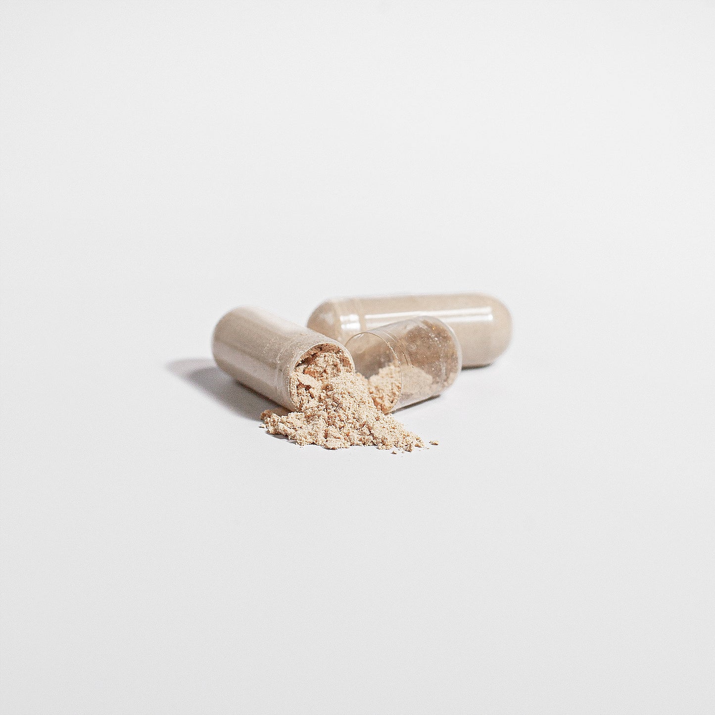 Chaga Mushroom Capsules Supplement – Gut Health Nutrition