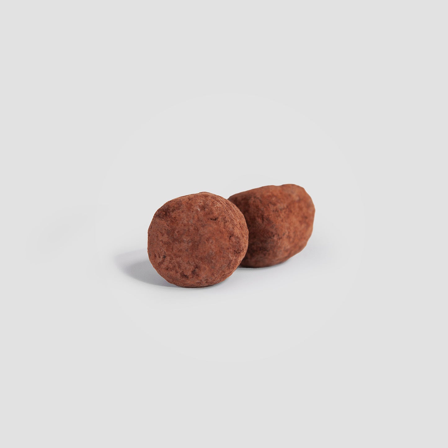 Birch Chaga Antioxidant Supplement – Gut Health and Vitality Support